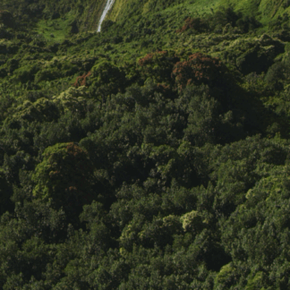 Test Matrix Produkt - löschbar danach
